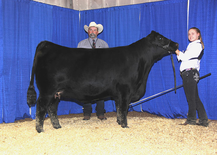 2016 TN State Fair JR Angus Show Grand Champion Bred & Owned