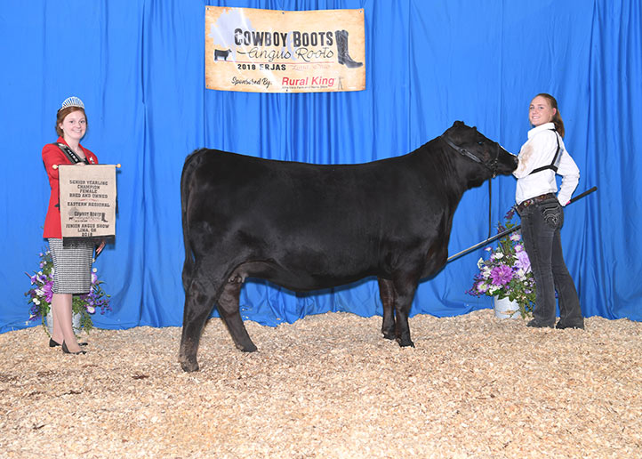 2018 ERJAS Bred and Owned Champion Senior Heifer