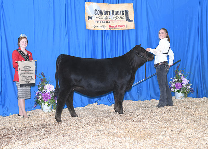 2018 ERJAS Bred and Owned Reserve Senior Heifer Calf